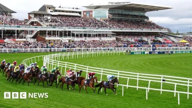 Grand National 2026: Guide to three-day Aintree festival