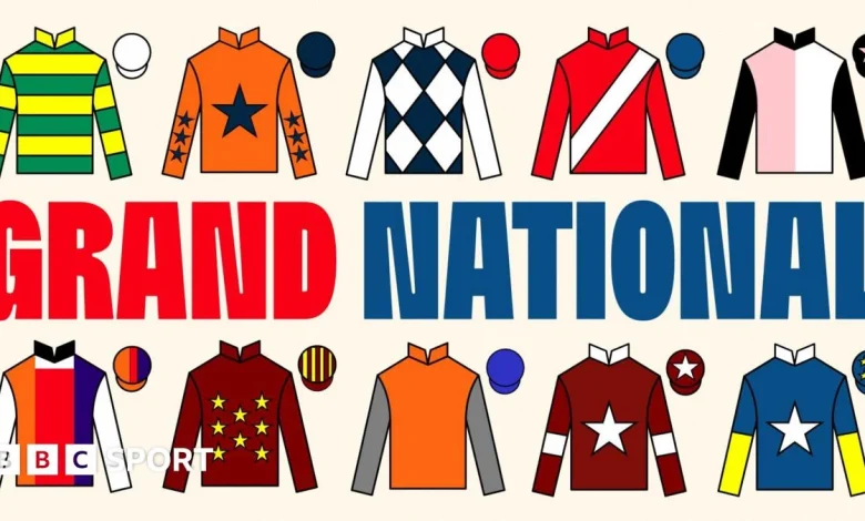 Grand National 2026 runners: Pinstickers' guide to Aintree race horses