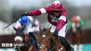 Grand National Meeting: Gold Dancer put down after winning Novices' Chase