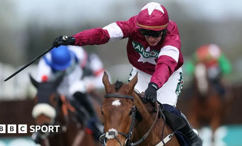 Grand National Meeting: Gold Dancer put down after winning Novices' Chase
