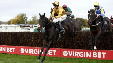 Grand National betting tips and predictions: Imperial Saint, Johnnywho and Monty's Star fancied for Aintree glory