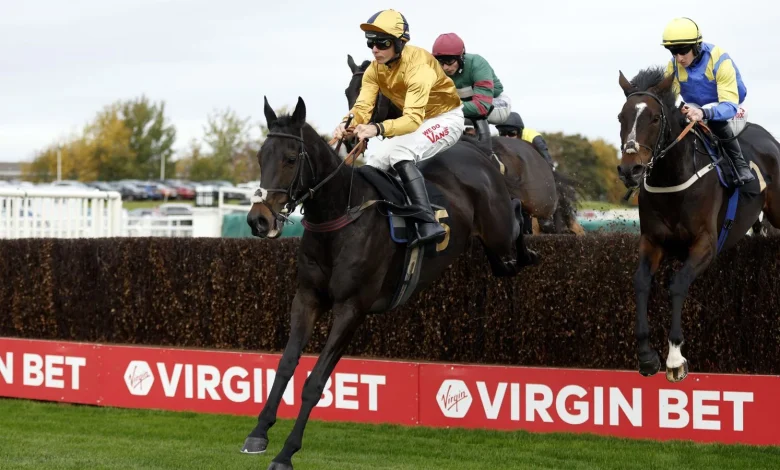 Grand National betting tips and predictions: Imperial Saint, Johnnywho and Monty's Star fancied for Aintree glory