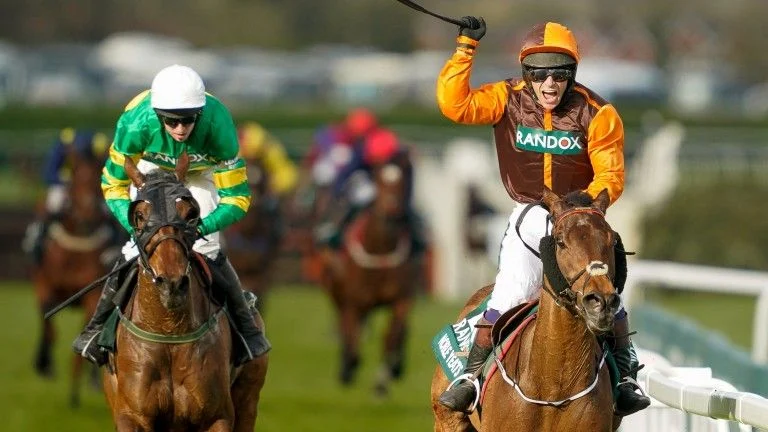 Grand National winner Noble Yeats dies aged 11 after bout of colic