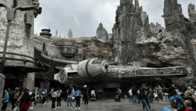 Guests Notified: Disneyland Resort Issues 3-Day Mandatory Star Wars Closure