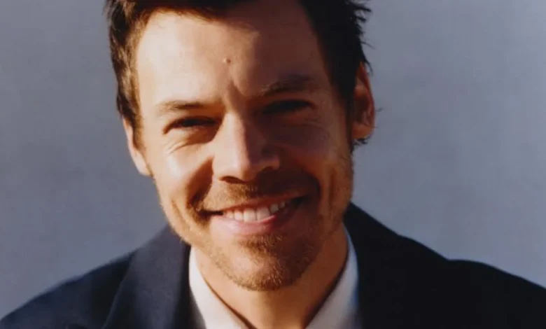 Harry Styles shares indie-packed line-up for his curated Meltdown 2026