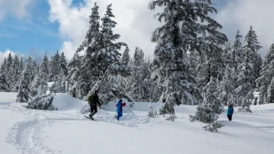 Heavy Snow Warning As 30 Inches To Strike: ‘Consider Delaying All Travel’