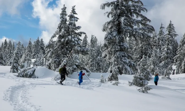 Heavy Snow Warning As 30 Inches To Strike: ‘Consider Delaying All Travel’