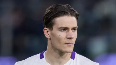 Hellas Verona vs Fiorentina: Preview