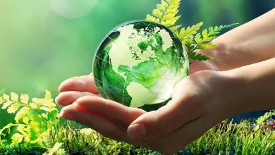 Help Celebrate Earth Day With A Variety Of Events Around The City