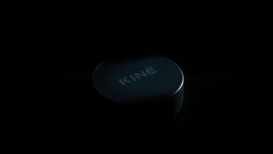 Hockey Prospect Gavin McKenna Faces Assault Charges