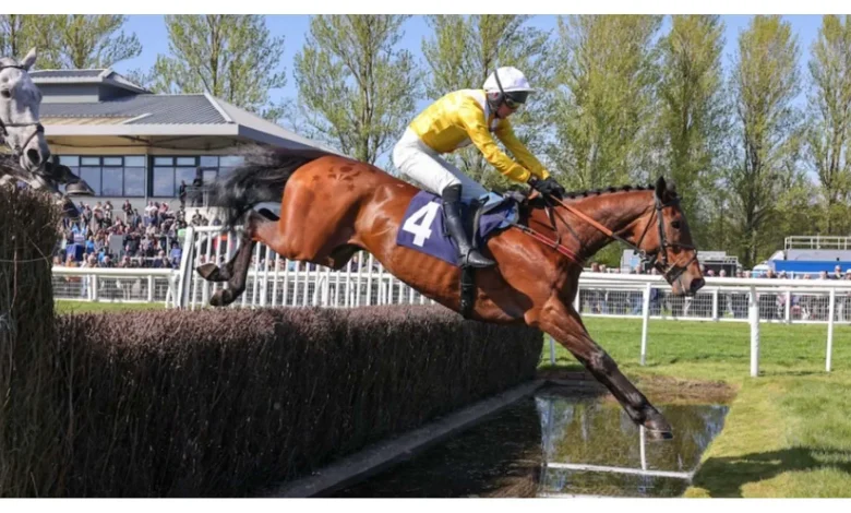 Horse Racing news: Lucinda Russell: Apple Away en route to French Champion Hurdle