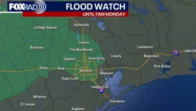 Houston weather: Isolated storm chances for Sunday