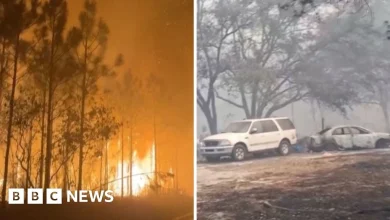 Hundreds of wildfires burn across Florida and Georgia