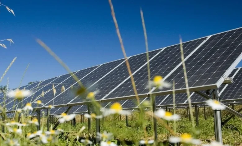 IEA: Solar overtakes all energy sources in a major global first