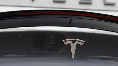 In Europe first, Netherlands to allow Teslas to self-drive