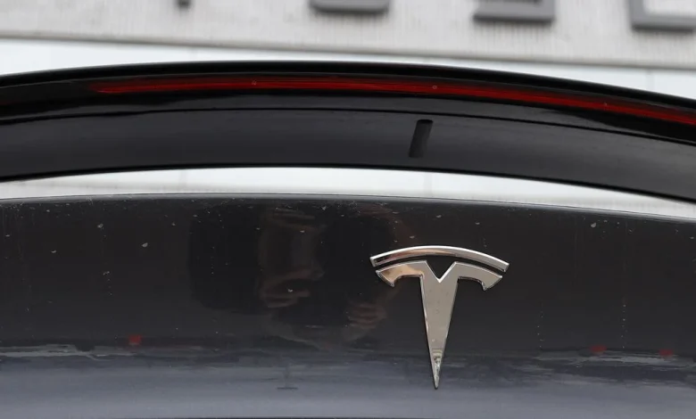 In Europe first, Netherlands to allow Teslas to self-drive