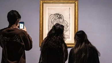 Internet Pro or Censor Pro? Iran rolls out a new service