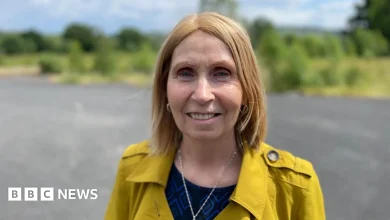 Irish-language activist from Belfast appointed to advise Irish president