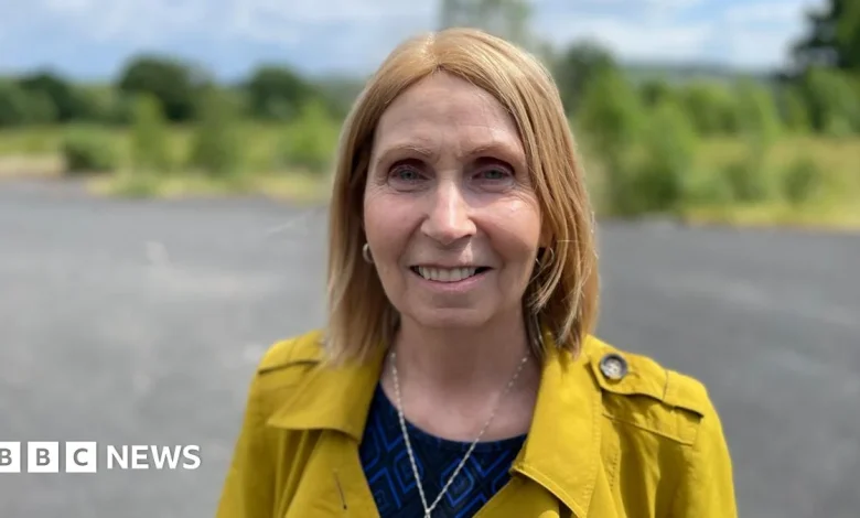 Irish-language activist from Belfast appointed to advise Irish president