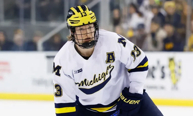 Is T.J. Hughes related to Michigan hockey stars Quinn and Luke Hughes?