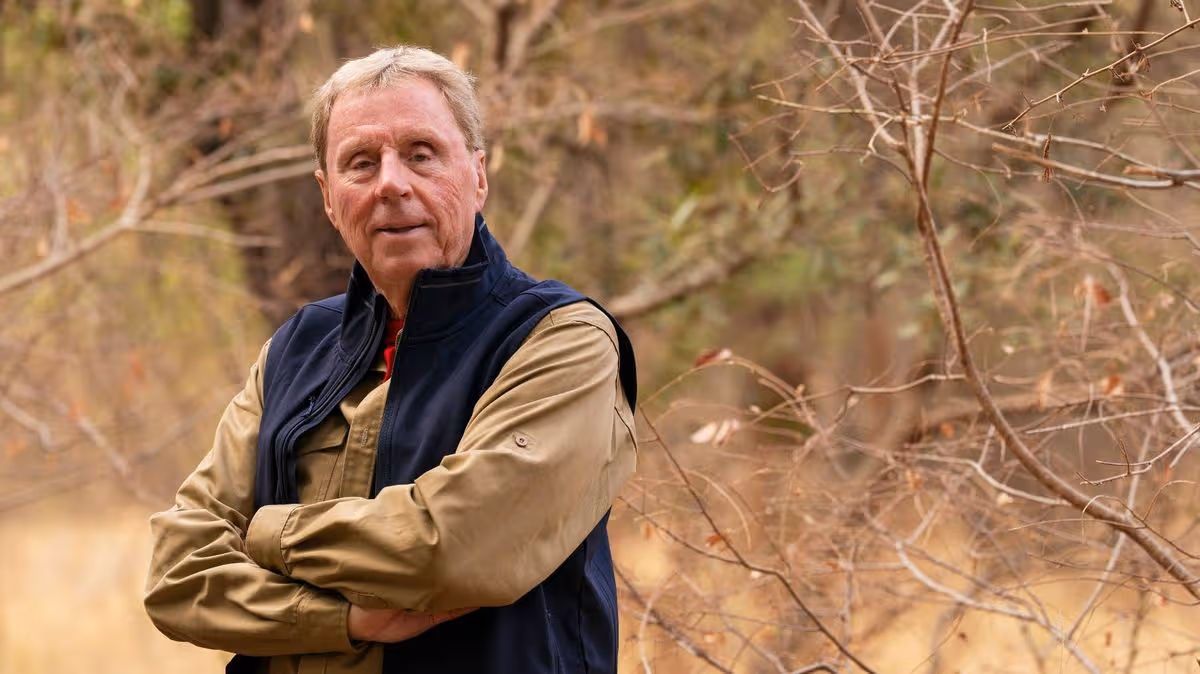 Jamie Redknapp gave dad Harry I'm A Celeb warning as he opens up on 'difficult times'