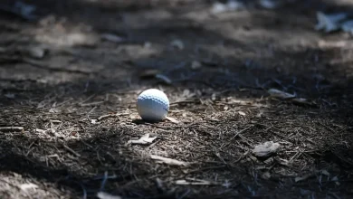José María Olazábal odds to win Masters Tournament