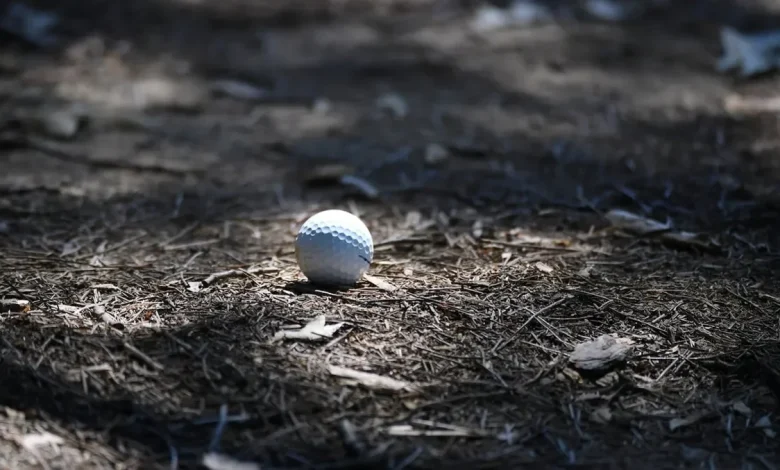 José María Olazábal odds to win Masters Tournament