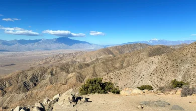 Joshua Tree National Park: Worth the PCT Side Quest?