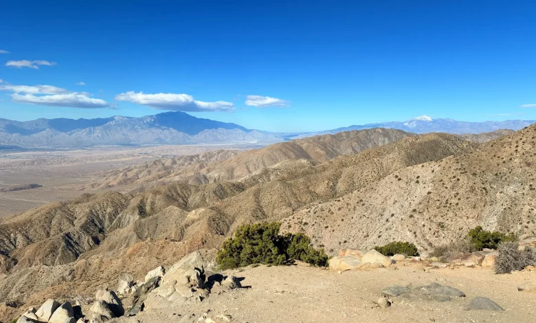 Joshua Tree National Park: Worth the PCT Side Quest?