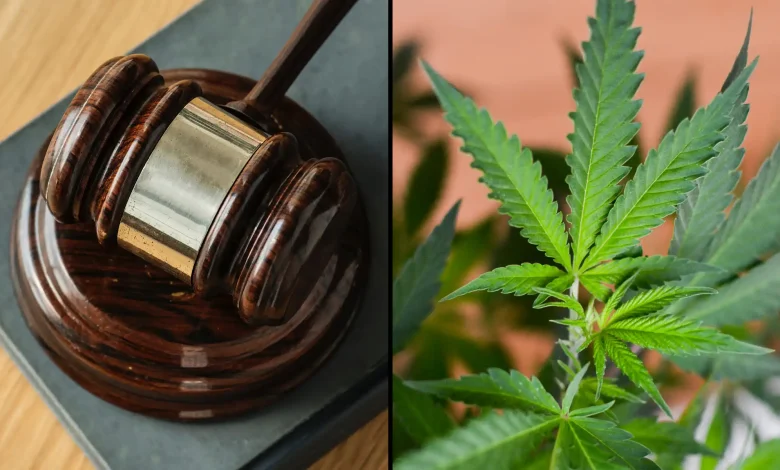 Judge Rejects Anti-Marijuana Groups' Motion To Block CBD And THC Medicare Coverage Plan, Setting Hearing For 4/20