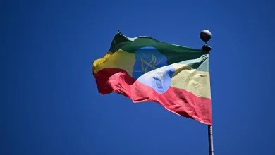 Judge postpones termination of temporary protected status for Ethiopians in U.S.