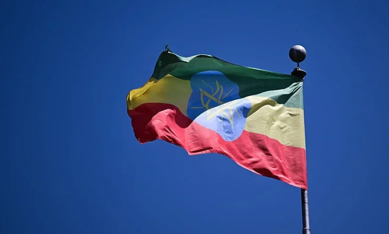Judge postpones termination of temporary protected status for Ethiopians in U.S.