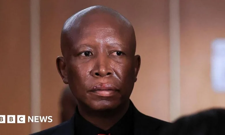 Julius Malema: South African opposition figure sentenced to five years