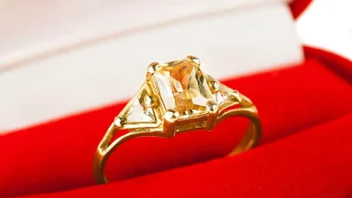 Katy Perry’s path to Canadian citizenship: date a prime minister. Yours: check your family tree