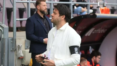 LIVE Rapid - FC Argeș, în etapa 4 din play-off Superliga