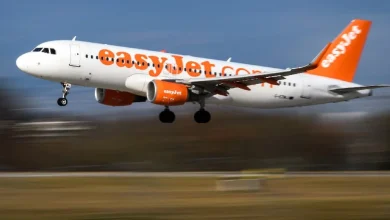 L'avion allait atterrir mais le pilote a décidé de remettre les gaz à cause "de la présence supposée de feux d'artifice à proximité de la piste" à l'aéroport d'Orly