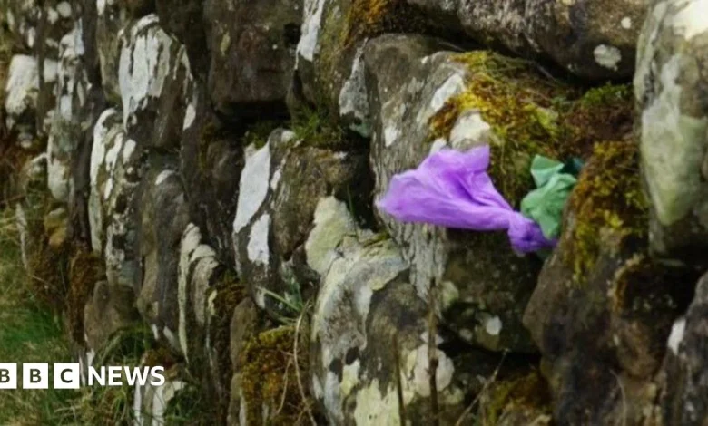 'Lazy' dog owners hide poo bags in Hadrian's Wall
