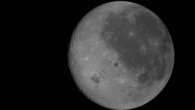 Live updates: Artemis 2 astronauts conduct historic flyby of the moon