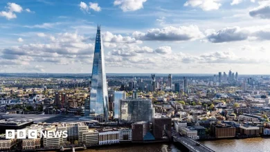 Local elections 2026: A guide to London's 32 boroughs