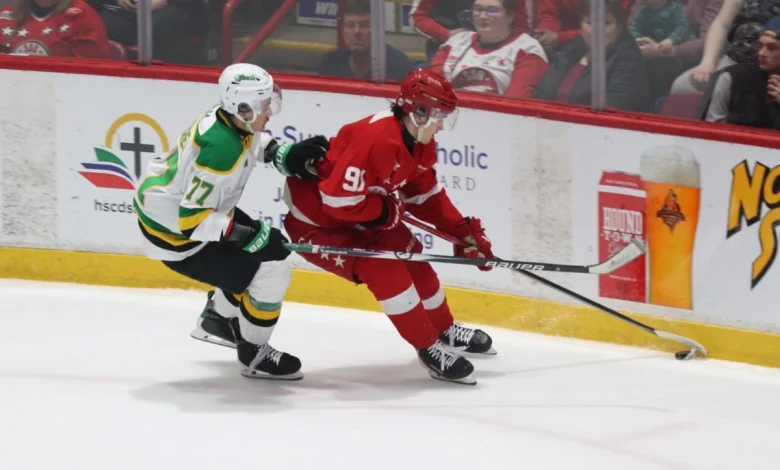 London responds with 'desperate' effort to extend series against Greyhounds