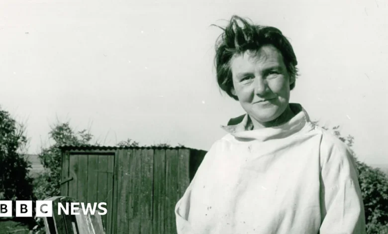 Lost Joan Eardley painting found in charity shop sells for £29,500