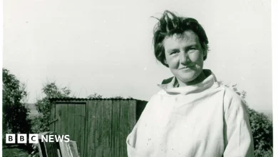 Lost Joan Eardley painting found in charity shop sells for £29,500