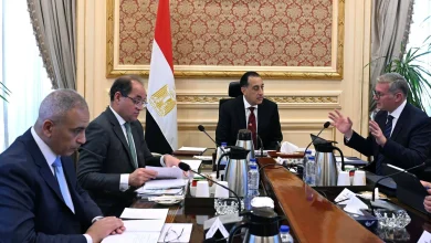 Madbouly Reviews Funding Plans for Strategic Petroleum Reserves
