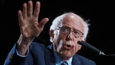 Majority of Senate Democrats Reject Arms Sales to Israel