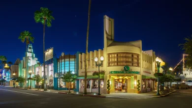 Man Connected to Deadly California Fireworks Explosion Arrested at Walt Disney World