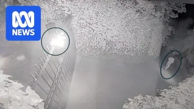 Man charged after Molotov cocktail attack on OpenAI CEO's home