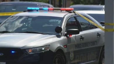 Man found shot dead inside wrecked car in Prince George's County