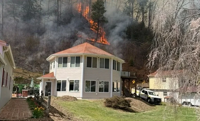 Marion woman cited, accused of starting Jumping Branch Fire