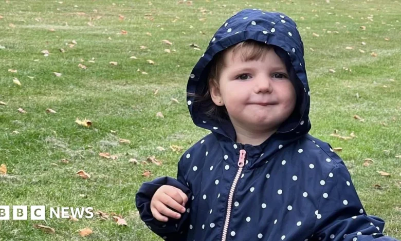 Maya Chappell: Murdered toddler's family back in law change fight