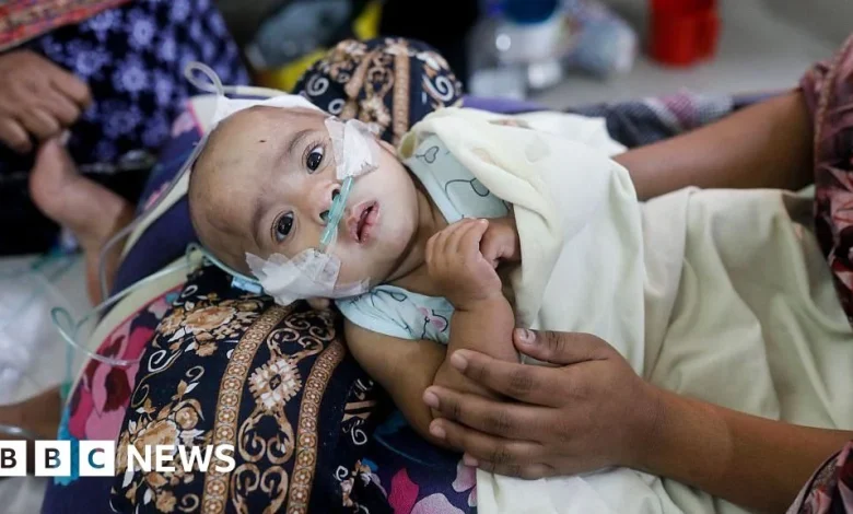 Measles: Why Bangladesh is seeing a deadly spike in cases